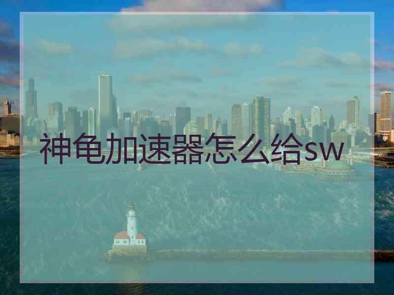 神龟加速器怎么给sw