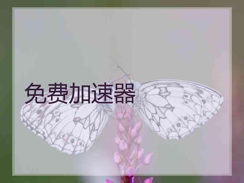 免费加速器