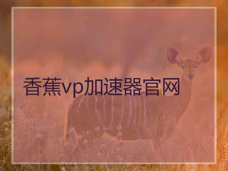 香蕉vp加速器官网