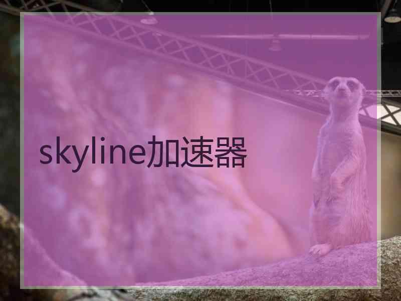 skyline加速器