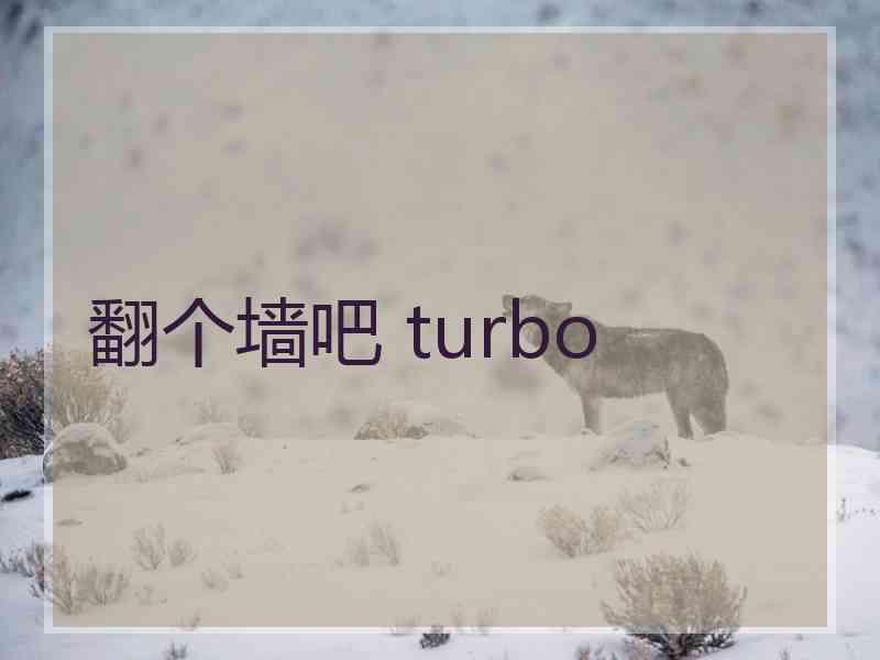 翻个墙吧 turbo