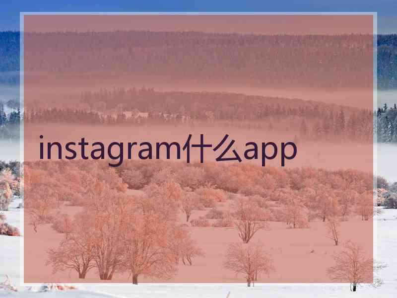 instagram什么app