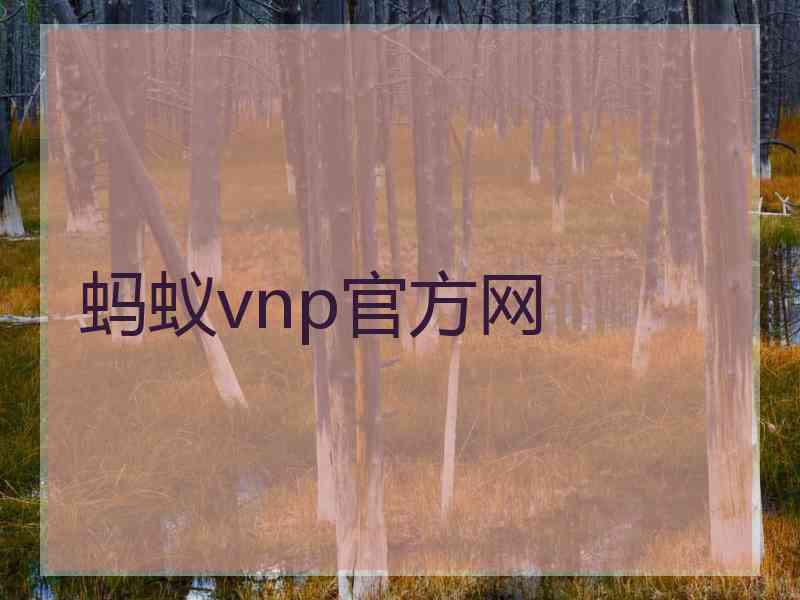 蚂蚁vnp官方网