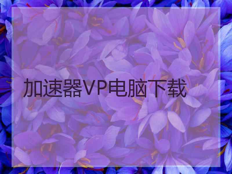 加速器VP电脑下载