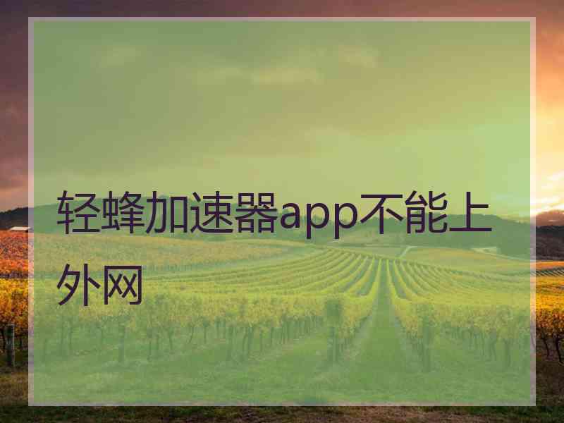 轻蜂加速器app不能上外网