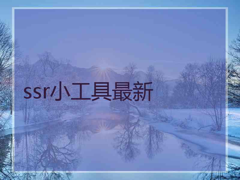 ssr小工具最新