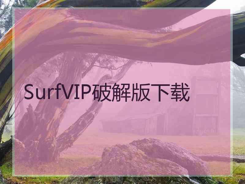 SurfVIP破解版下载