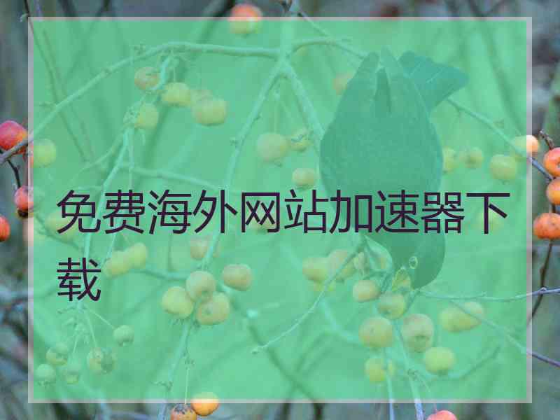 免费海外网站加速器下载