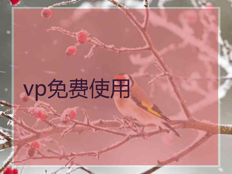 vp免费使用