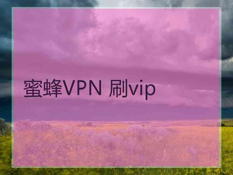 蜜蜂VPN 刷vip