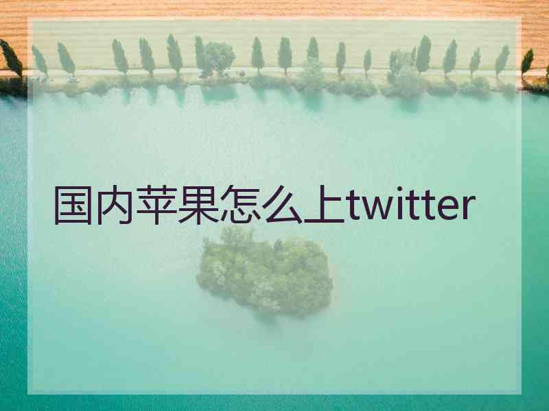 国内苹果怎么上twitter