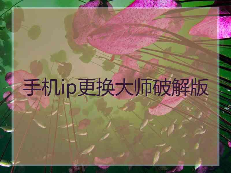 手机ip更换大师破解版