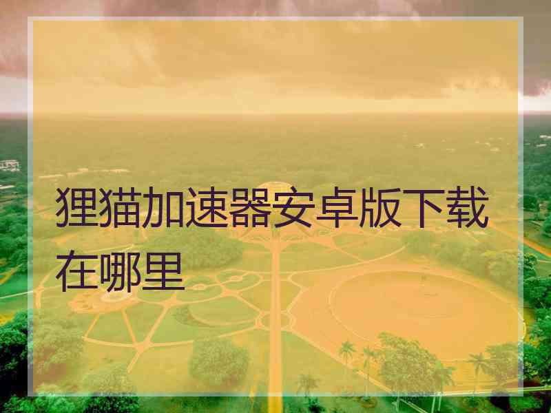 狸猫加速器安卓版下载在哪里
