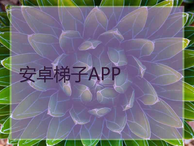 安卓梯子APP