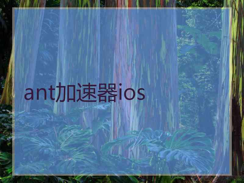 ant加速器ios