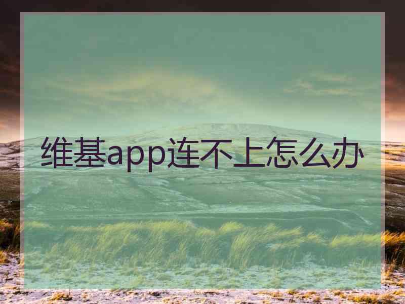 维基app连不上怎么办