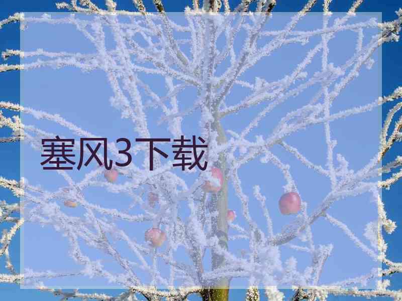 塞风3下载