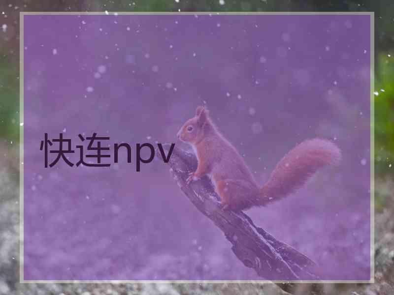 快连npv