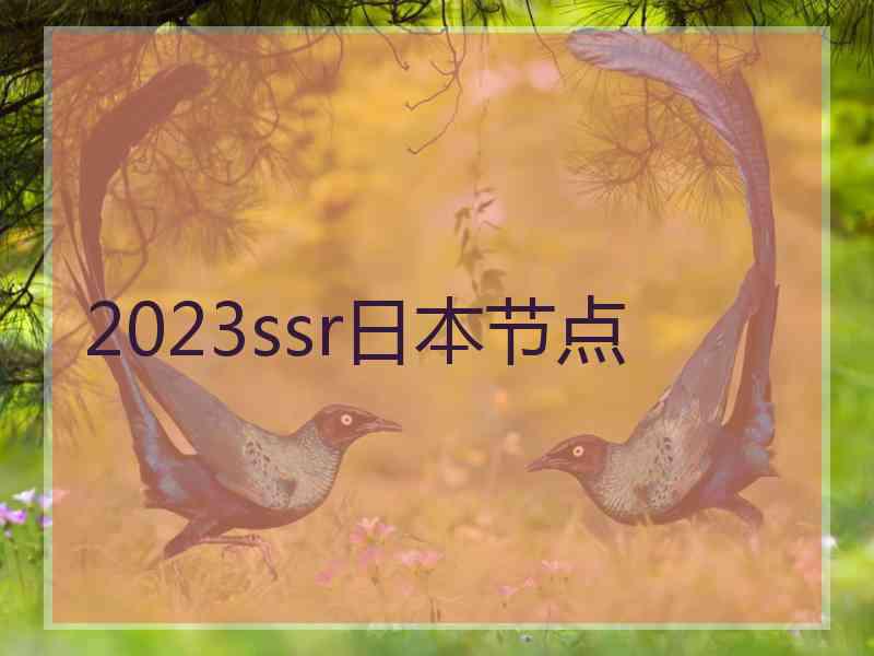 2023ssr日本节点