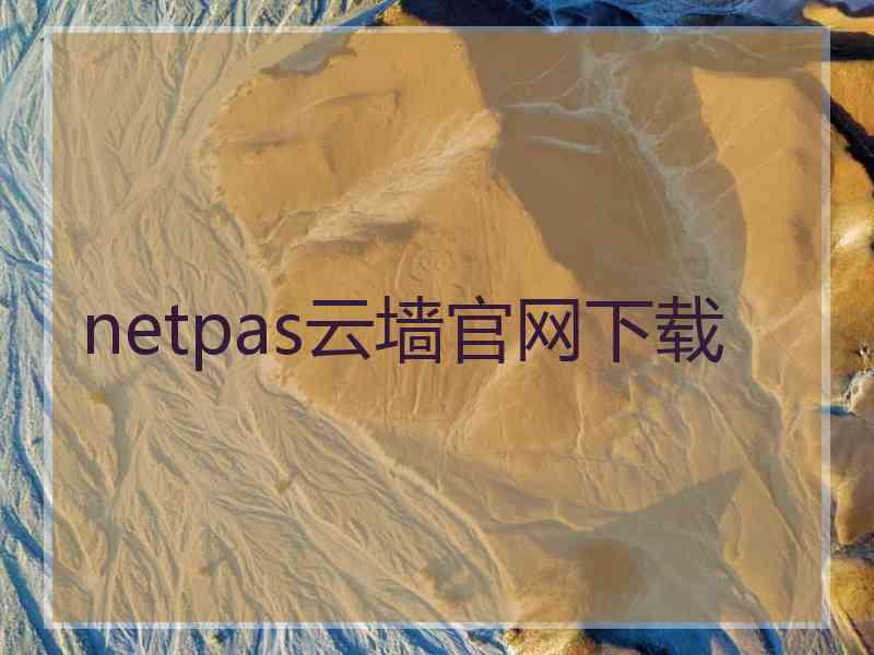 netpas云墙官网下载