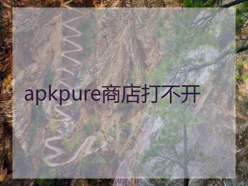 apkpure商店打不开