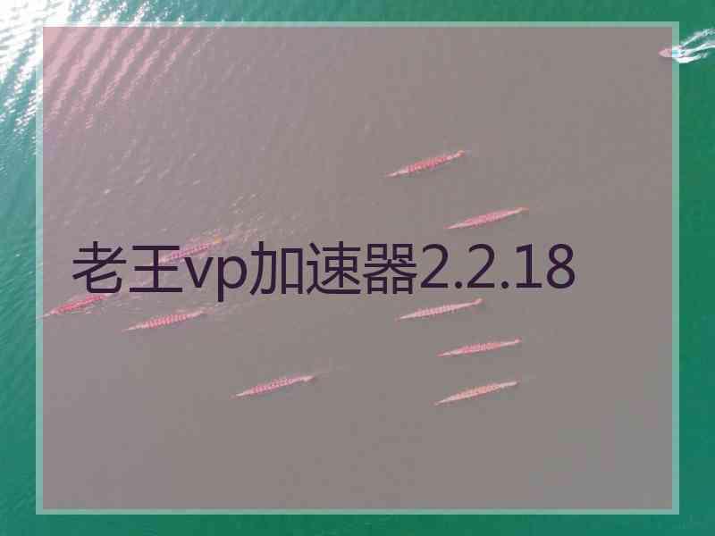 老王vp加速器2.2.18