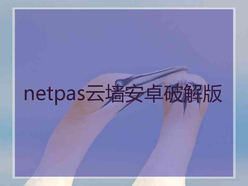 netpas云墙安卓破解版