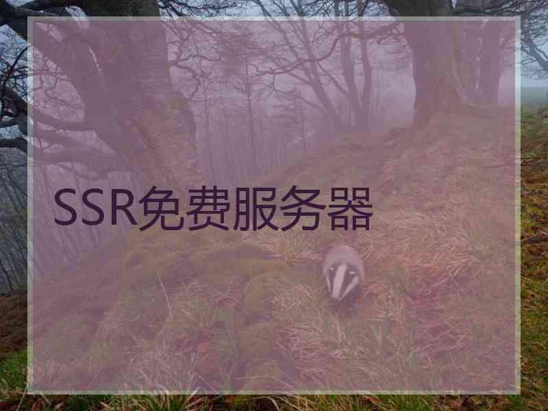 SSR免费服务器