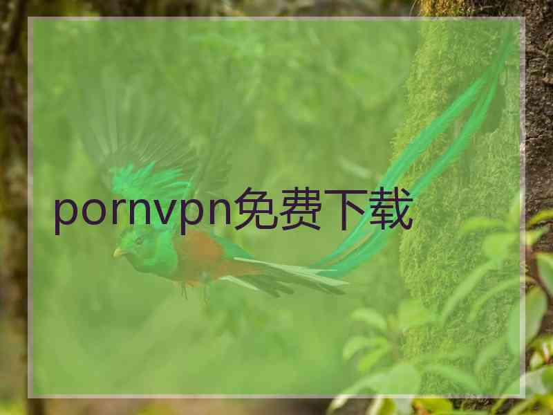 pornvpn免费下载