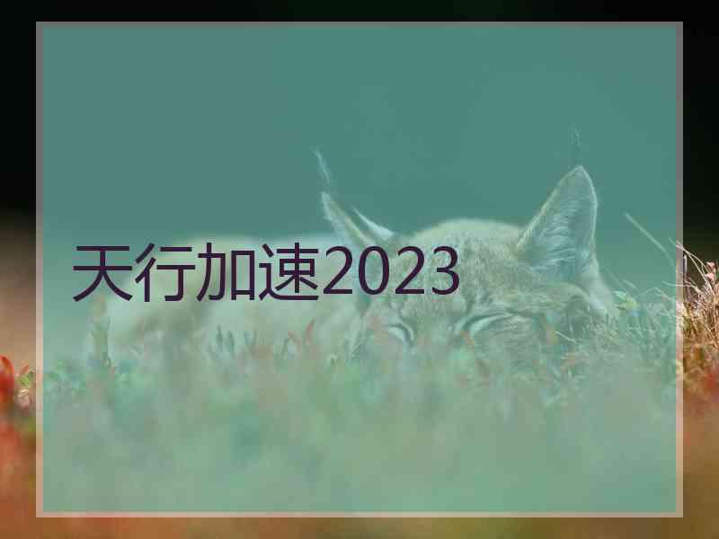 天行加速2023