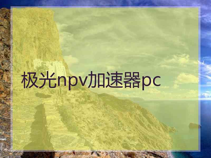 极光npv加速器pc