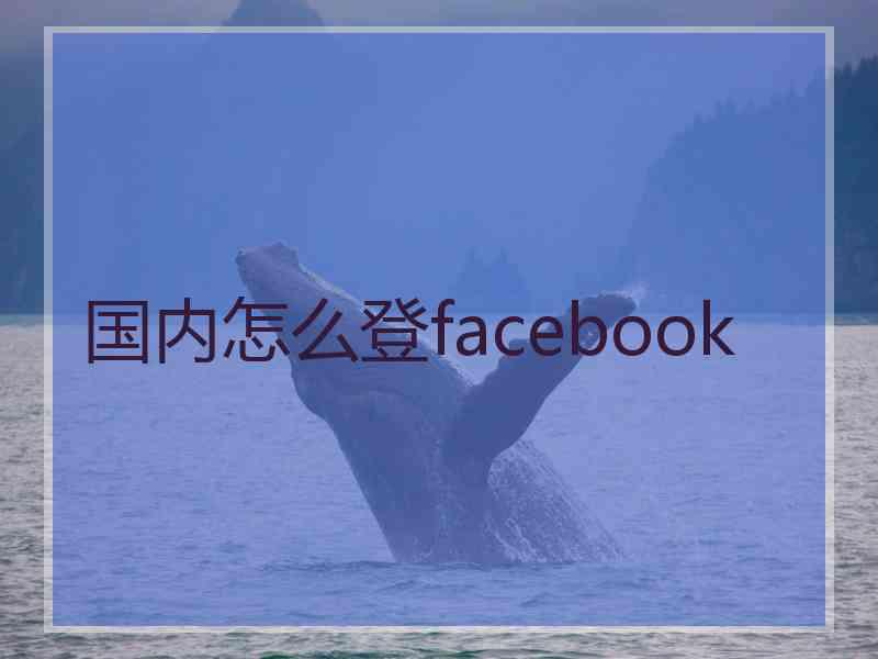 国内怎么登facebook