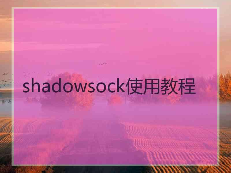 shadowsock使用教程