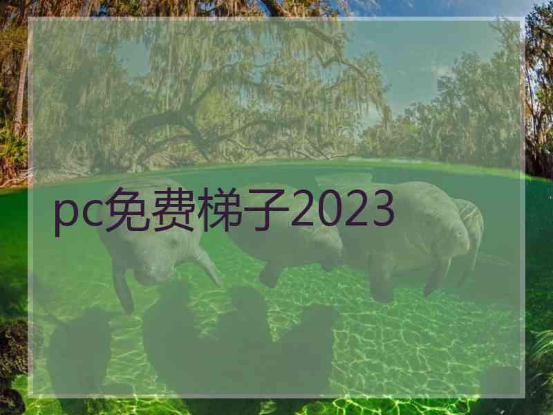 pc免费梯子2023