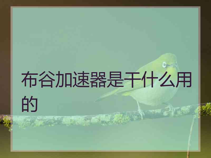 布谷加速器是干什么用的