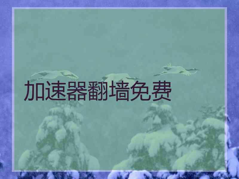 加速器翻墙免费