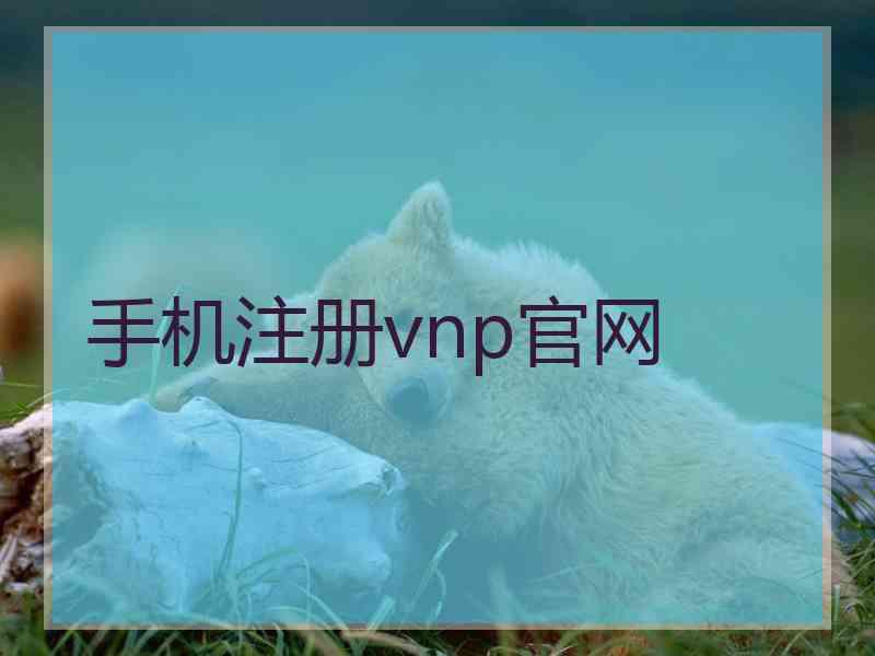 手机注册vnp官网