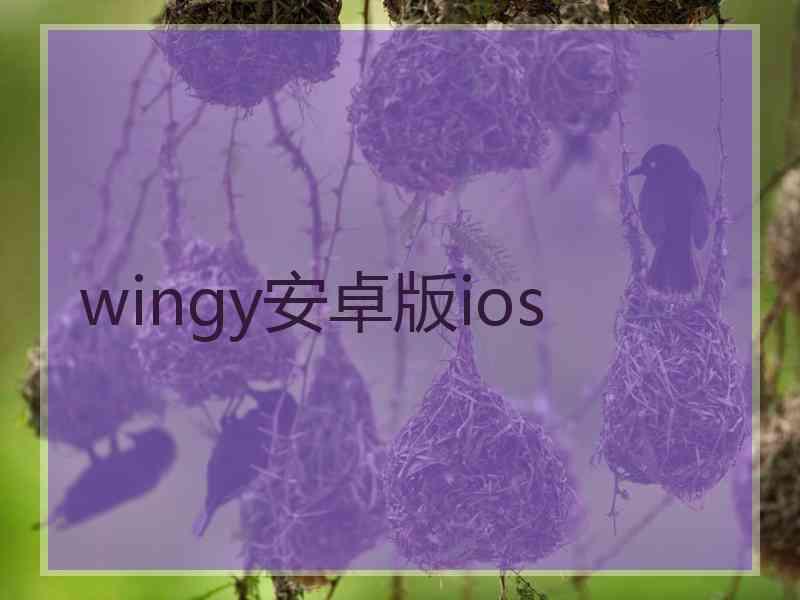 wingy安卓版ios