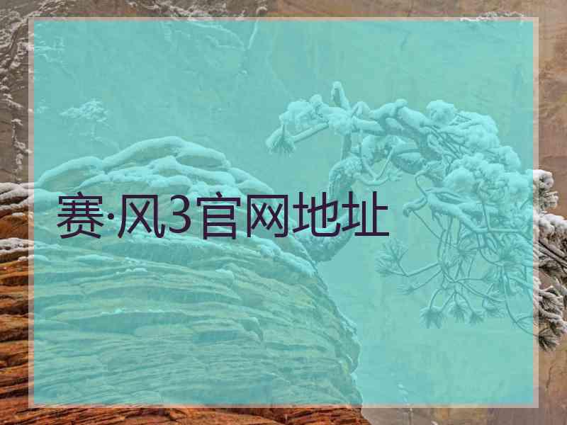 赛·风3官网地址
