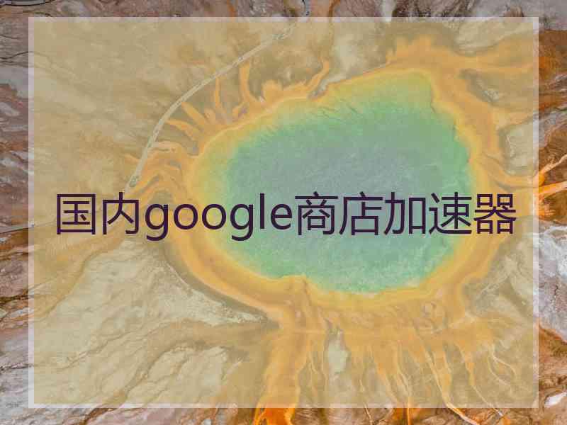 国内google商店加速器