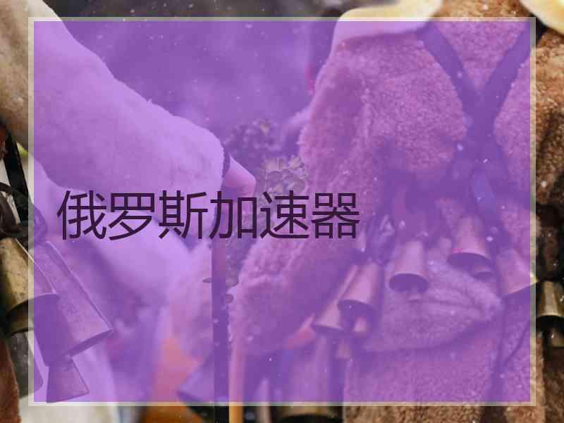 俄罗斯加速器