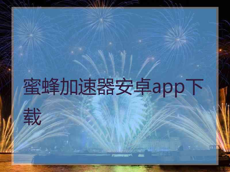 蜜蜂加速器安卓app下载