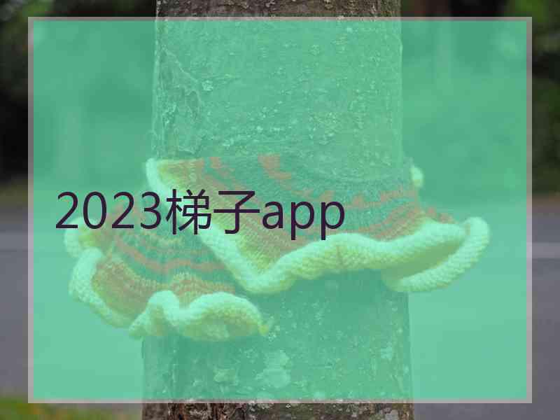 2023梯子app