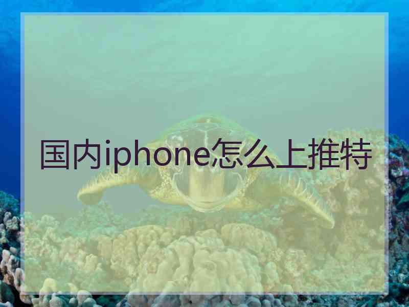 国内iphone怎么上推特