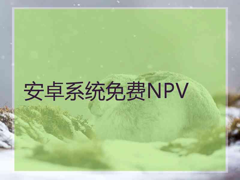安卓系统免费NPV