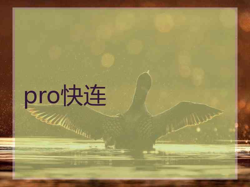 pro快连