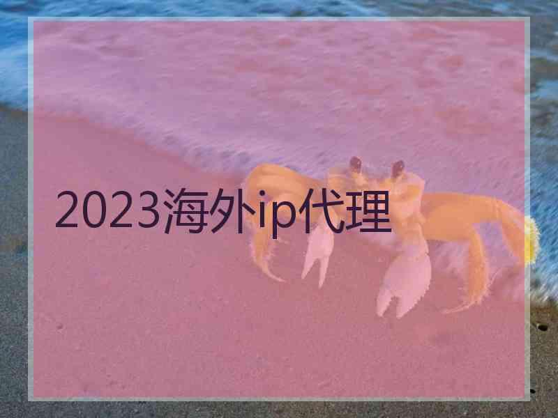 2023海外ip代理