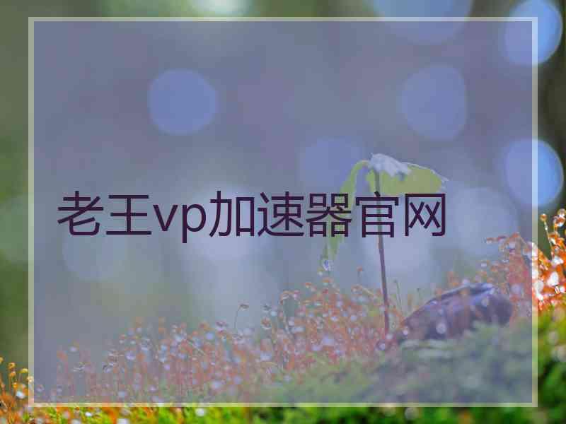 老王vp加速器官网