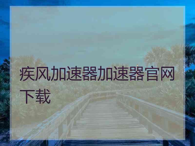 疾风加速器加速器官网下载