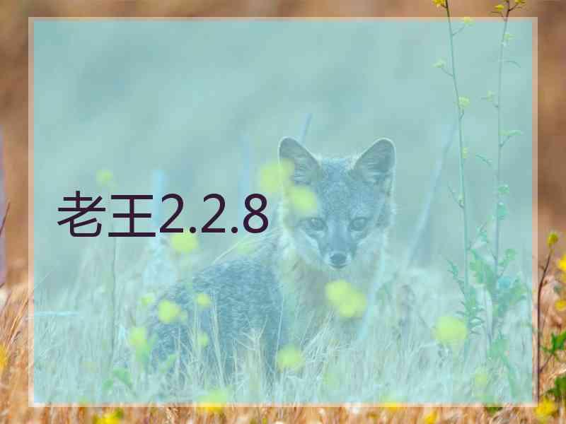 老王2.2.8